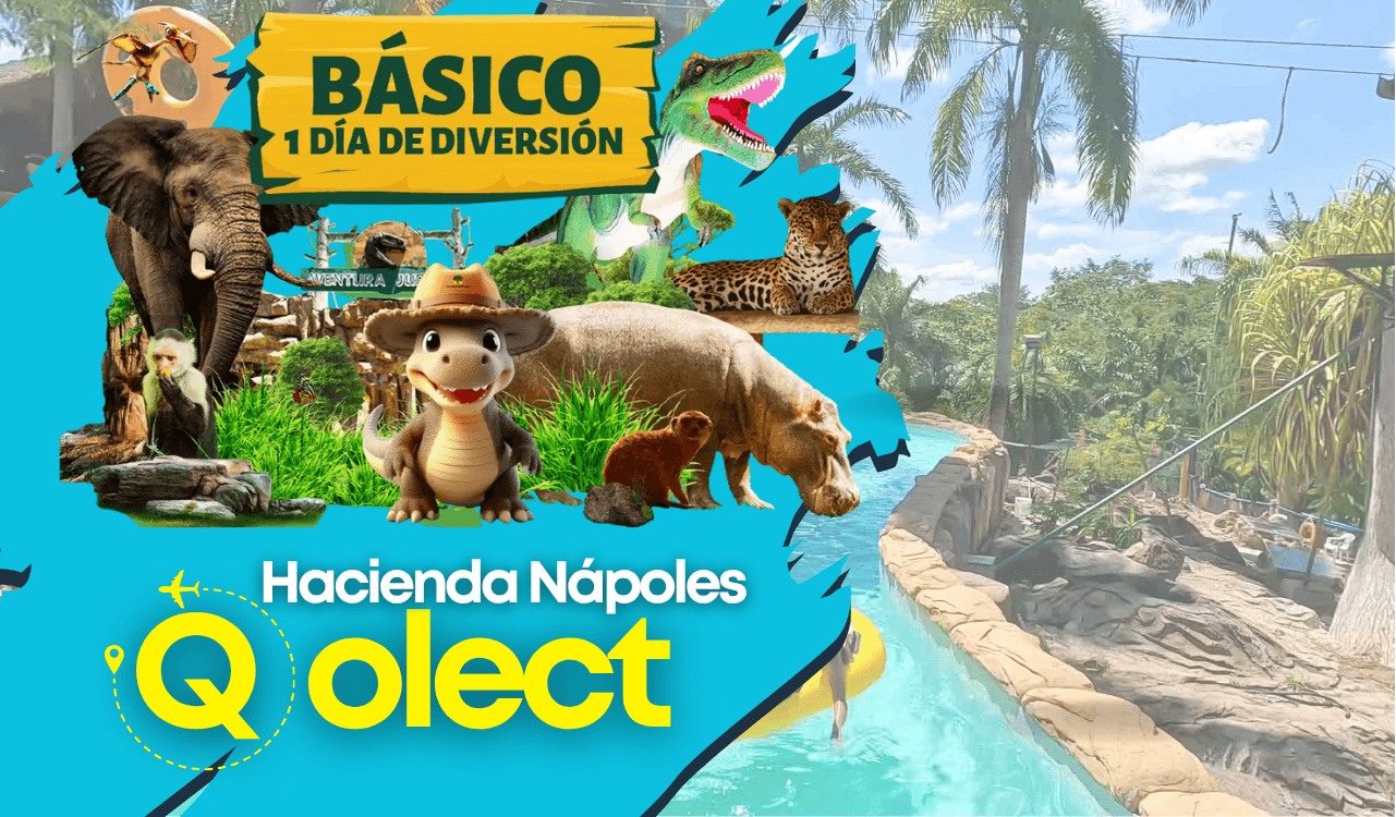 Entrada Pasaporte BASICO