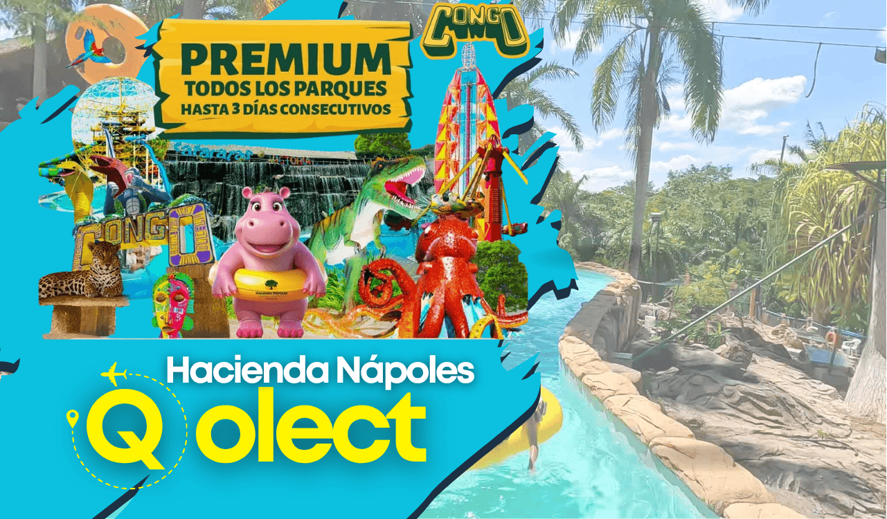 Entrada Pasaporte PREMIUM